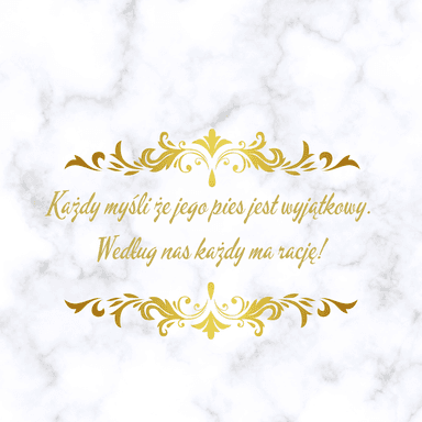 DOGodzimy Psu | Salon pielęgnacji psów | Szkolenia i kursy groomerskie Warszawa
