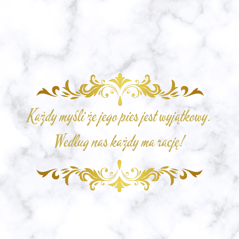 DOGodzimy Psu | Salon pielęgnacji psów | Szkolenia i kursy groomerskie Warszawa
