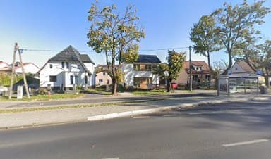 Grace Salon Strzyżenia Psów