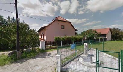 LORD studio pielęgnacji psów
