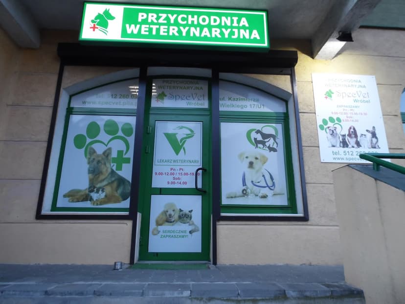 Przychodnia weterynaryjna SpecVet - Weterynarz Piła