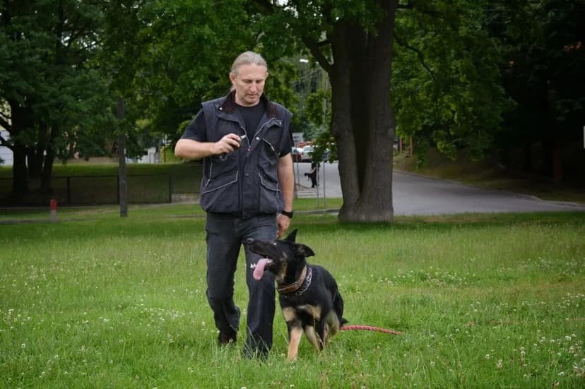 Szkolenie Psów Puławy - psi behawiorysta, treser psów Dariusz Szymanek