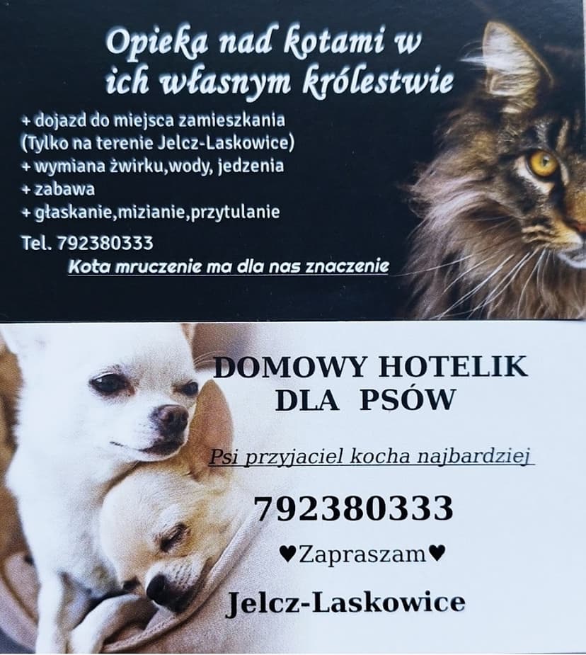 Domowy Hotelik dla Psów i Kotów "CHILLOUT"