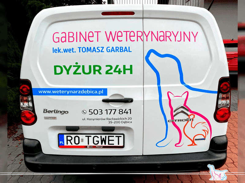 Gabinet weterynaryjny. Tomasz Garbal