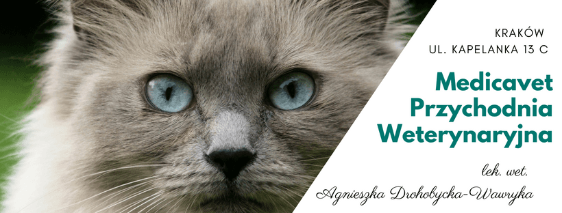 Medicavet Przychodnia Weterynaryjna