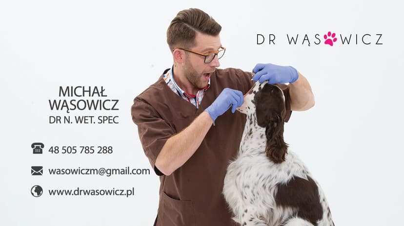 Dr n.wet.spec. Michał Wąsowicz Stomatolog weterynaryjny Dentysta zwierzęcy