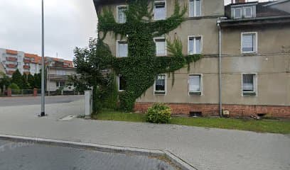 Strzyżenie i Pielęgnacja Psów i Kotów Patrycja Bobrowska