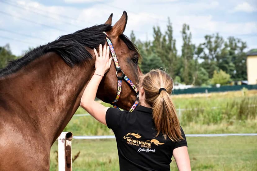 Sporthorse Vet Karolina Radwańska