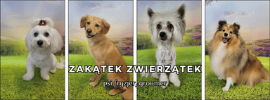 Zakątek Zwierzątek Gdańsk - psi fryzjer, groomer