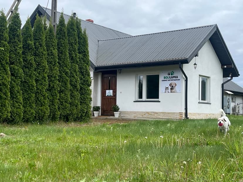 Gabinet Weterynaryjny "Boliłapka" Karolina Oblizajek