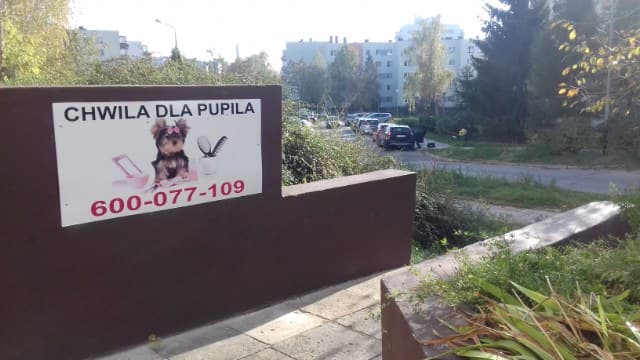 Chwila Dla Pupila