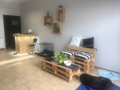 EDEN Raj Dla Psiaka. Psi Fryzjer, Strzyżenie, Trymowanie, Pielęgnacja, Fryzjer dla Psów