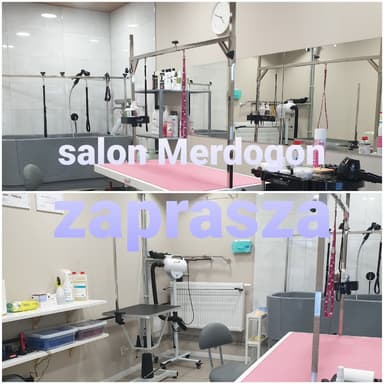 Fryzjer dla psów "Merdogon" | Salon groomerski | Groomer
