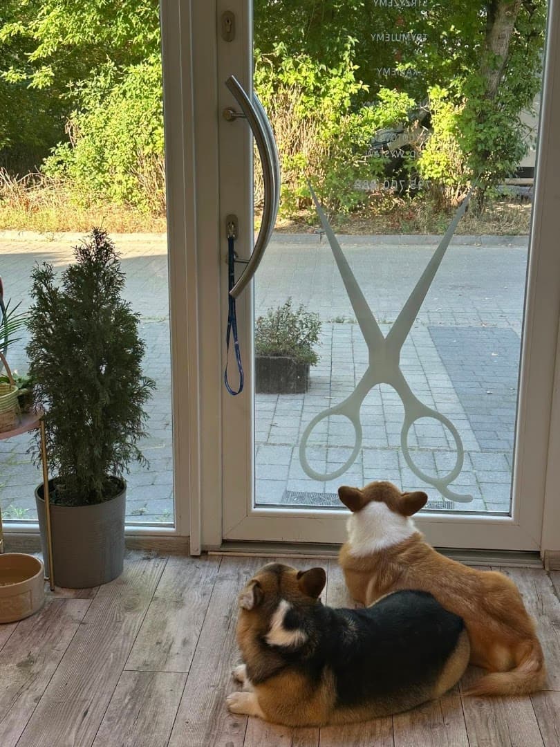 PROGROOMING Konstancin