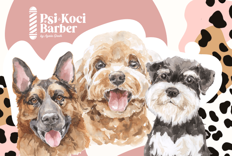 Psi Barber - Salon Groomerski Strzyżenie i Pielęgnacja Psów - Reda Rumia