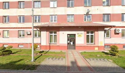 WYCZESANY KUNDEL Psi Fryzjer