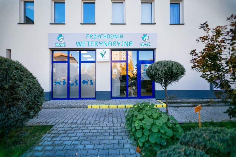 Przychodnia Weterynaryjna ALVET Olga Jaworska