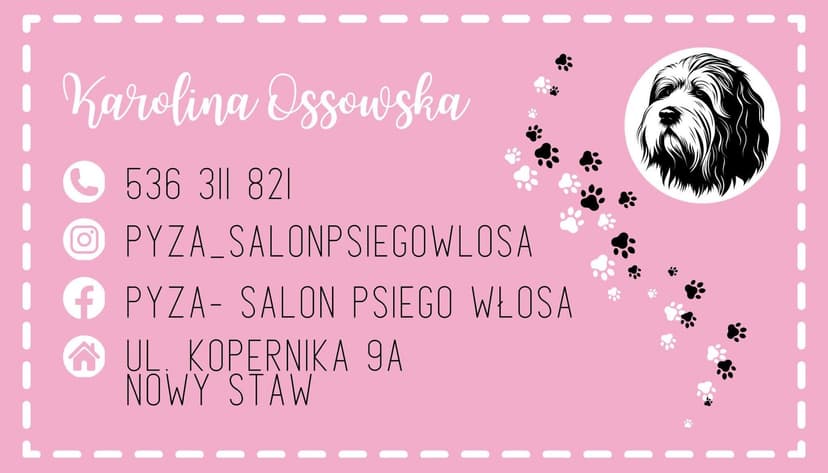 PYZA Salon Psiego Włosa Karolina Ossowska