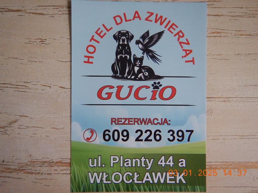 Hotel dla zwierząt GUCIO