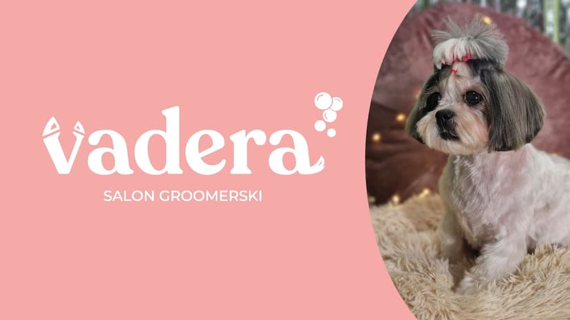 Salon Groomerski VADERA Fryzjer dla psów, kotów, królików Poznań - psy, koty, króliki