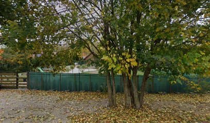 Futrzane sprawy
