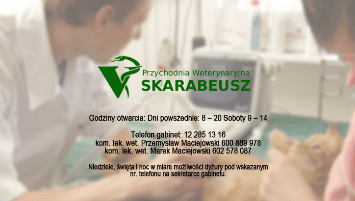Przychodnia Weterynaryjna "Skarabeusz".