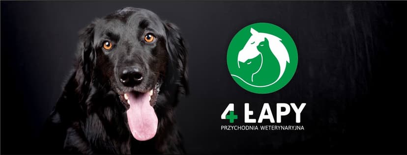 4 Łapy. Przychodnia weterynaryjna. Choszczewski T.