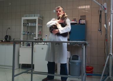 Pilichowski Amadeusz Przychodnia Weterynaryjna - USG, EKG