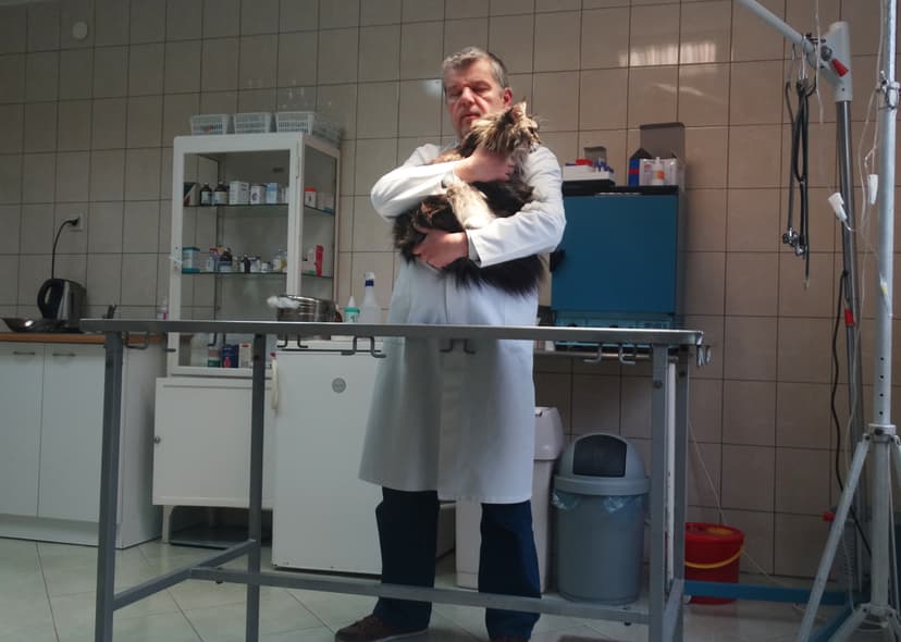Pilichowski Amadeusz Przychodnia Weterynaryjna - USG, EKG