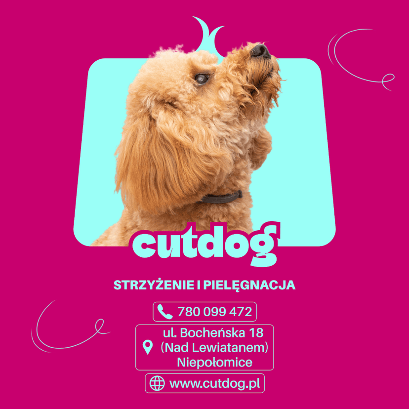 CutDog Grooming i Spa dla zwierząt