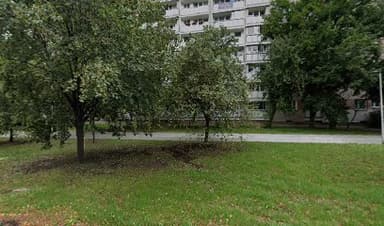 Profesjonalne szkolenie psów
