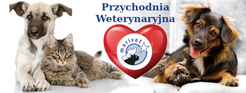 MariVet Świat Zwierząt
