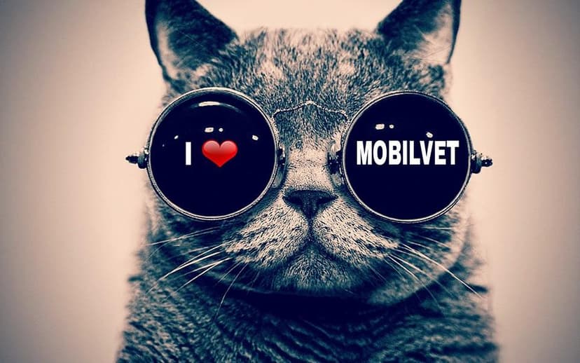 Gabinet Weterynaryjny Mobilvet