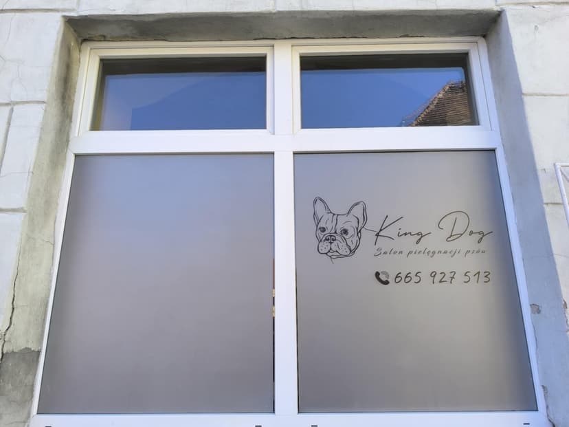 King Dog Salon pielęgnacji i strzyżenia psów