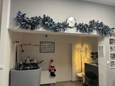 Fryzjer dla psa. Salon psiej urody-Dog room