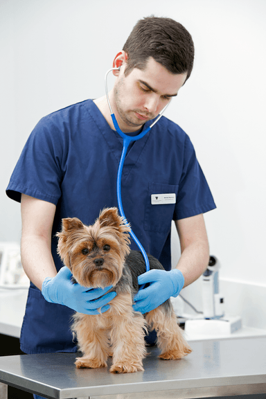 Animal Care Center