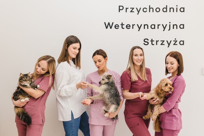 Przychodnia Weterynaryjna Strzyża