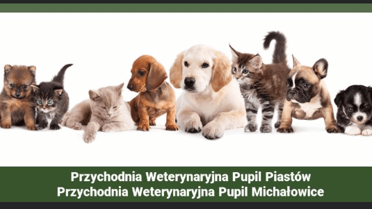 Weterynarz Michałowice Przychodnia Pupil /WKD, Warszawy
