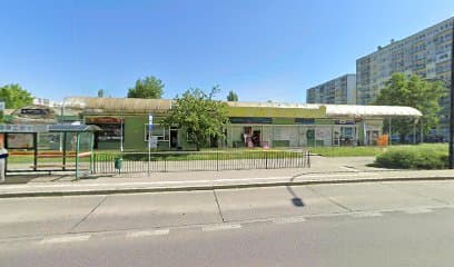 Królak Małgorzata. Strzyżenie psów