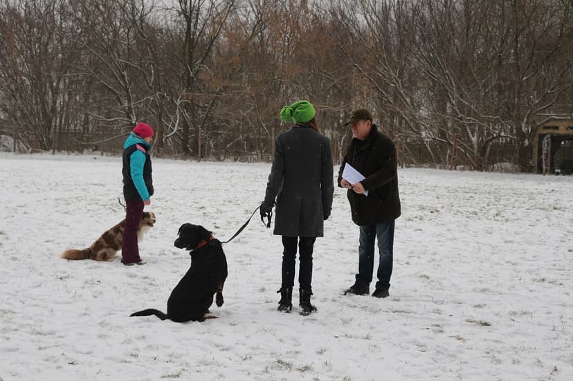 Psia Szkoła - Szkolenie i Tresura Psów w Warszawie