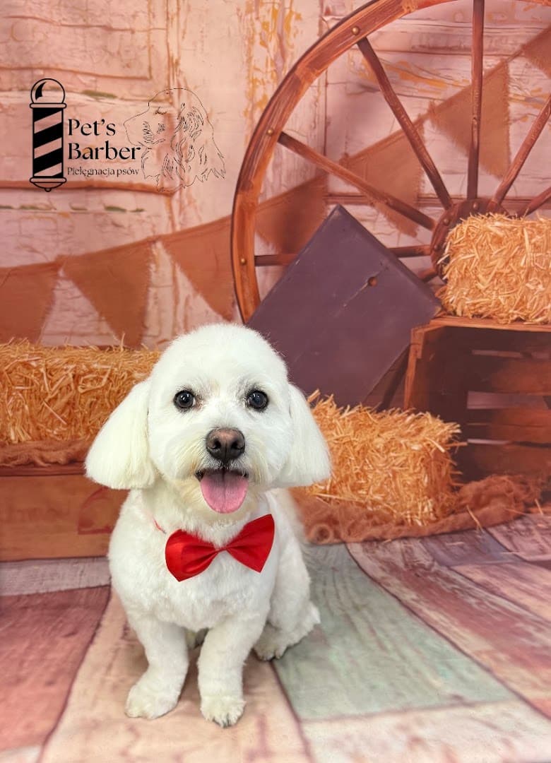 Pet's Barber - Pielęgnacja Psów