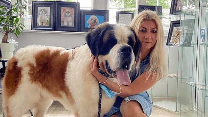 Dog Modeling - Groomer Gdańsk, Psi fryzjer Gdańsk, Fryzjer dla psów Gdańsk