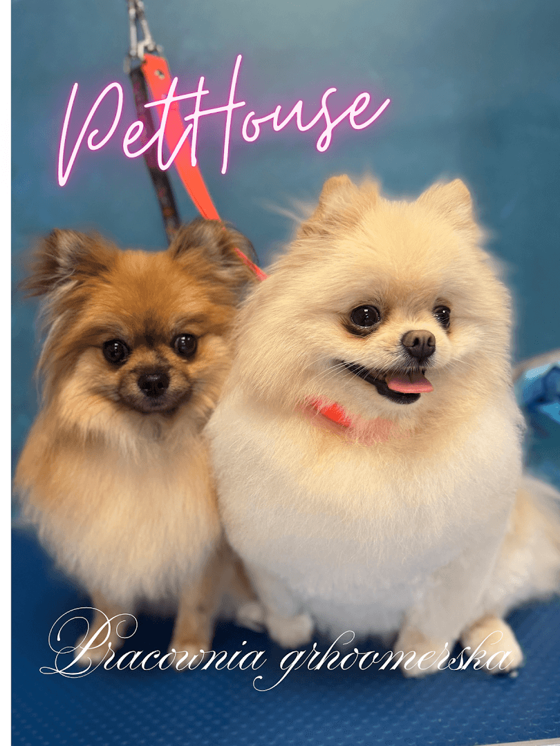Pet House