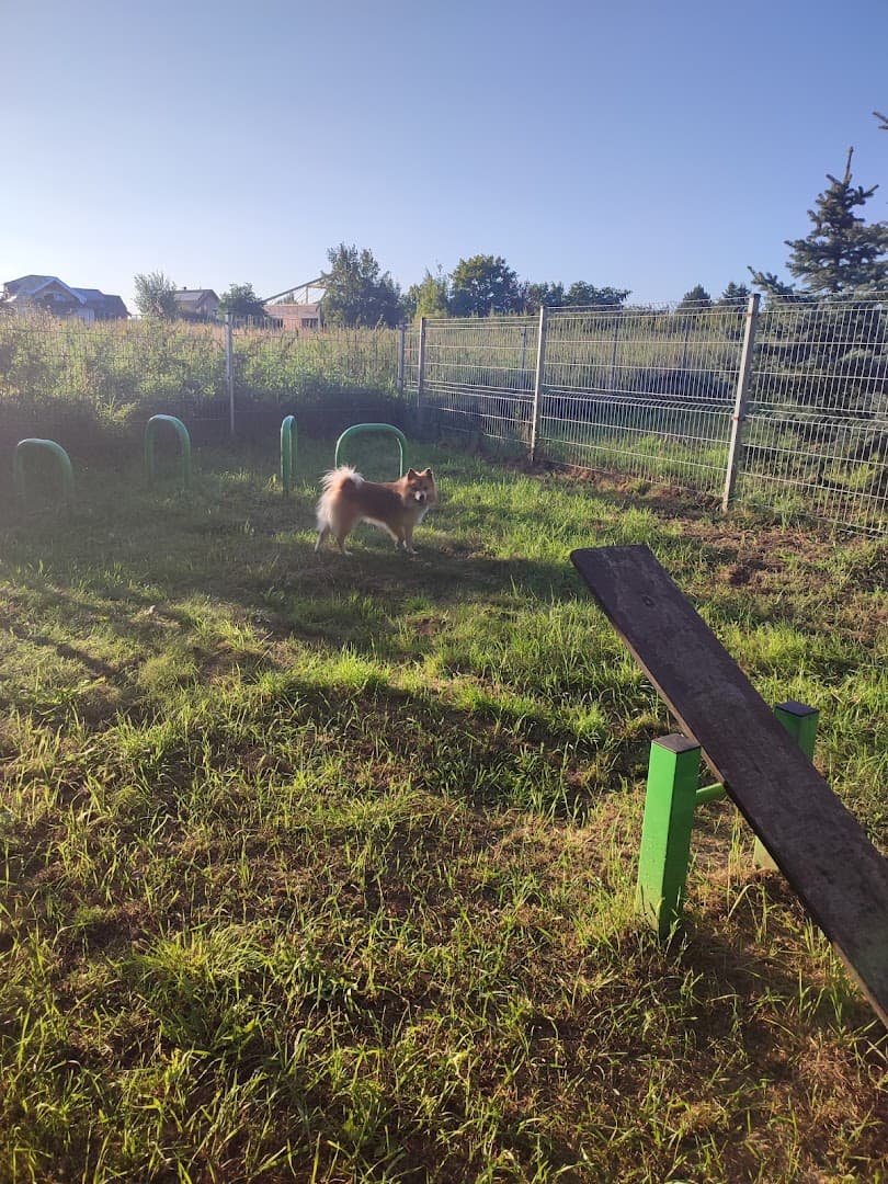 Opieka nad psami Noclegi dla psów Petsitter