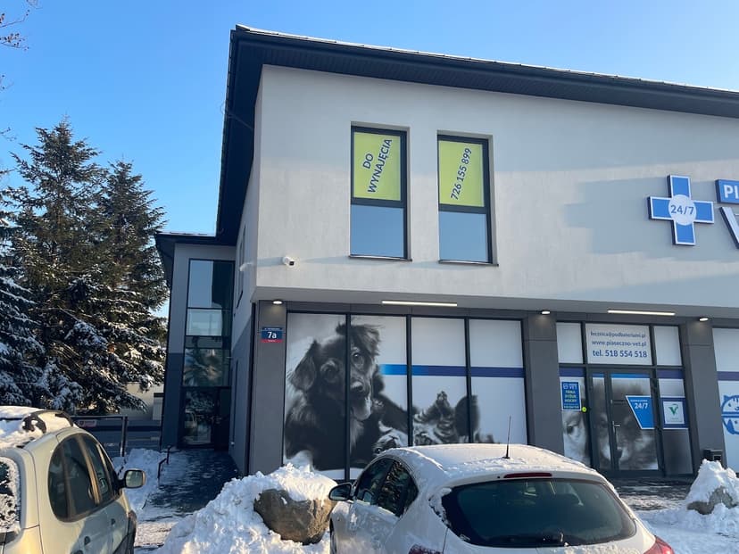 Iwyczesane.pl Pielęgnacja Psów i Kotów