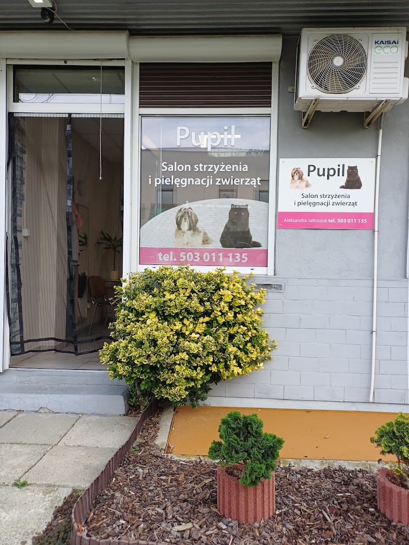 Pupil - Salon pielęgnacji i strzyżenia zwierząt