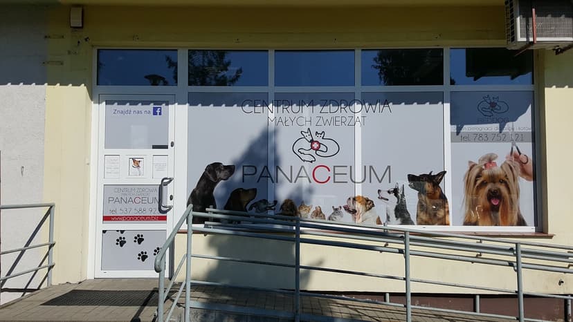 Panaceum