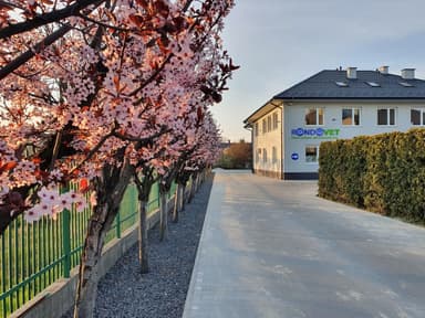 Przychodnia Weterynaryjna Czaja RONDO VET