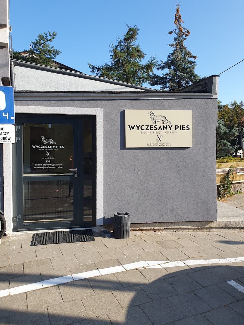 Wyczesany Pies Salonik Pielęgnacji Psów Groomer, Psi fryzjer Oliwa