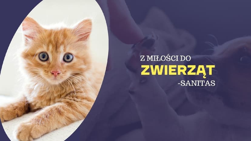 Przychodnia Weterynaryjna SANITAS